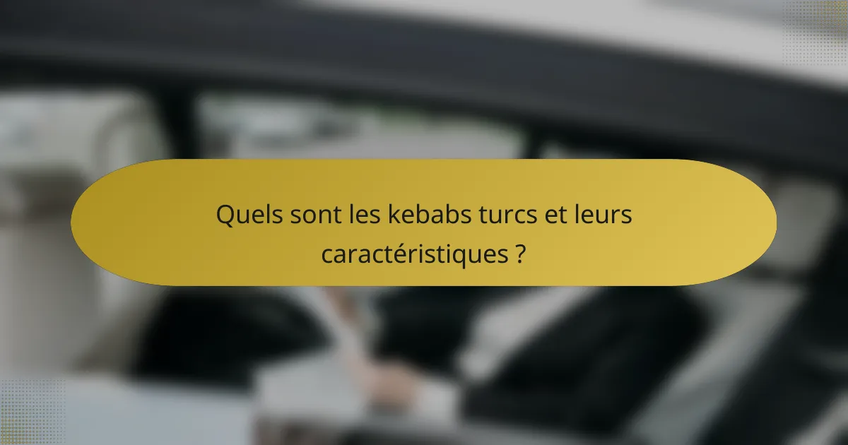 Quels sont les kebabs turcs et leurs caractéristiques ?